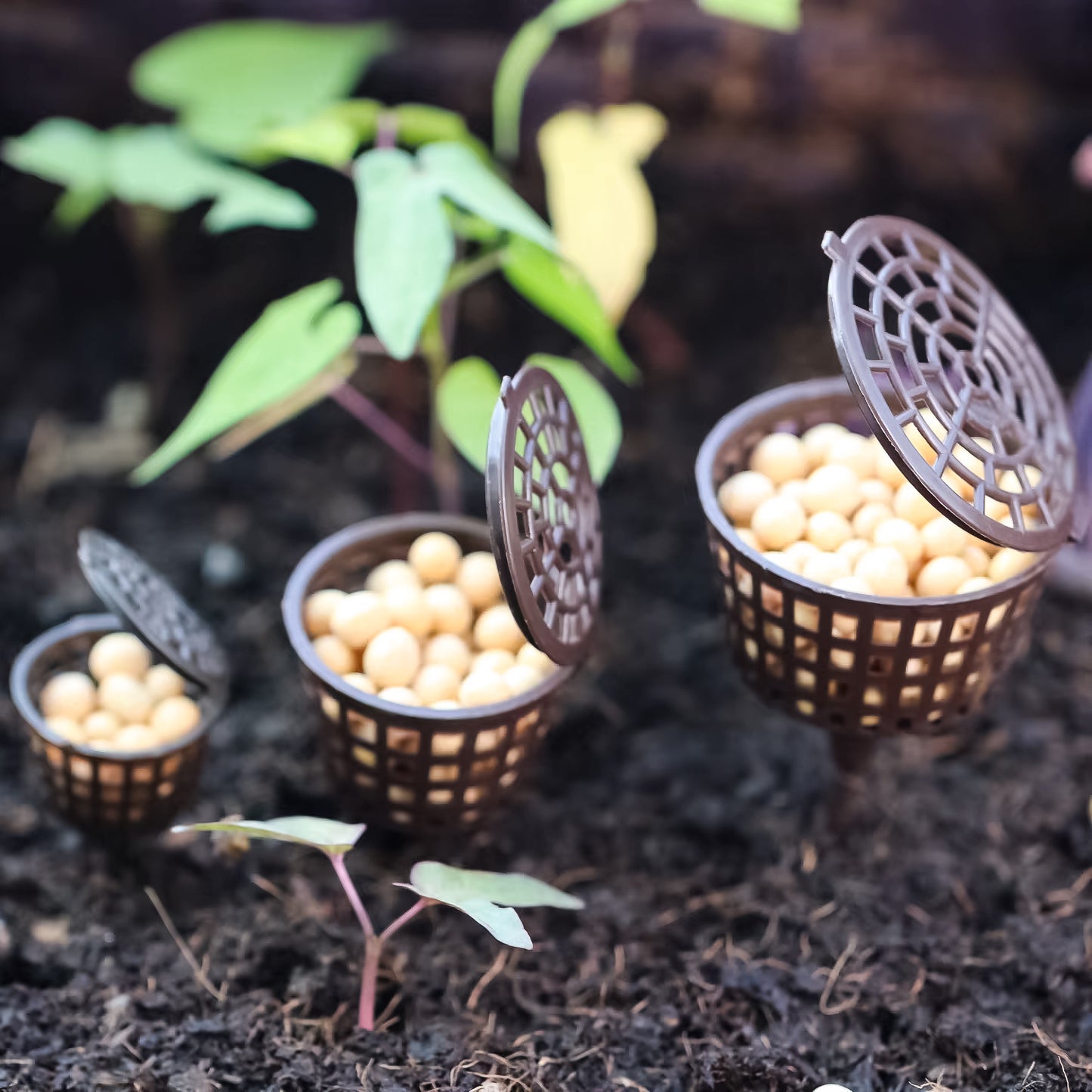 Fertilizer Cover Basket